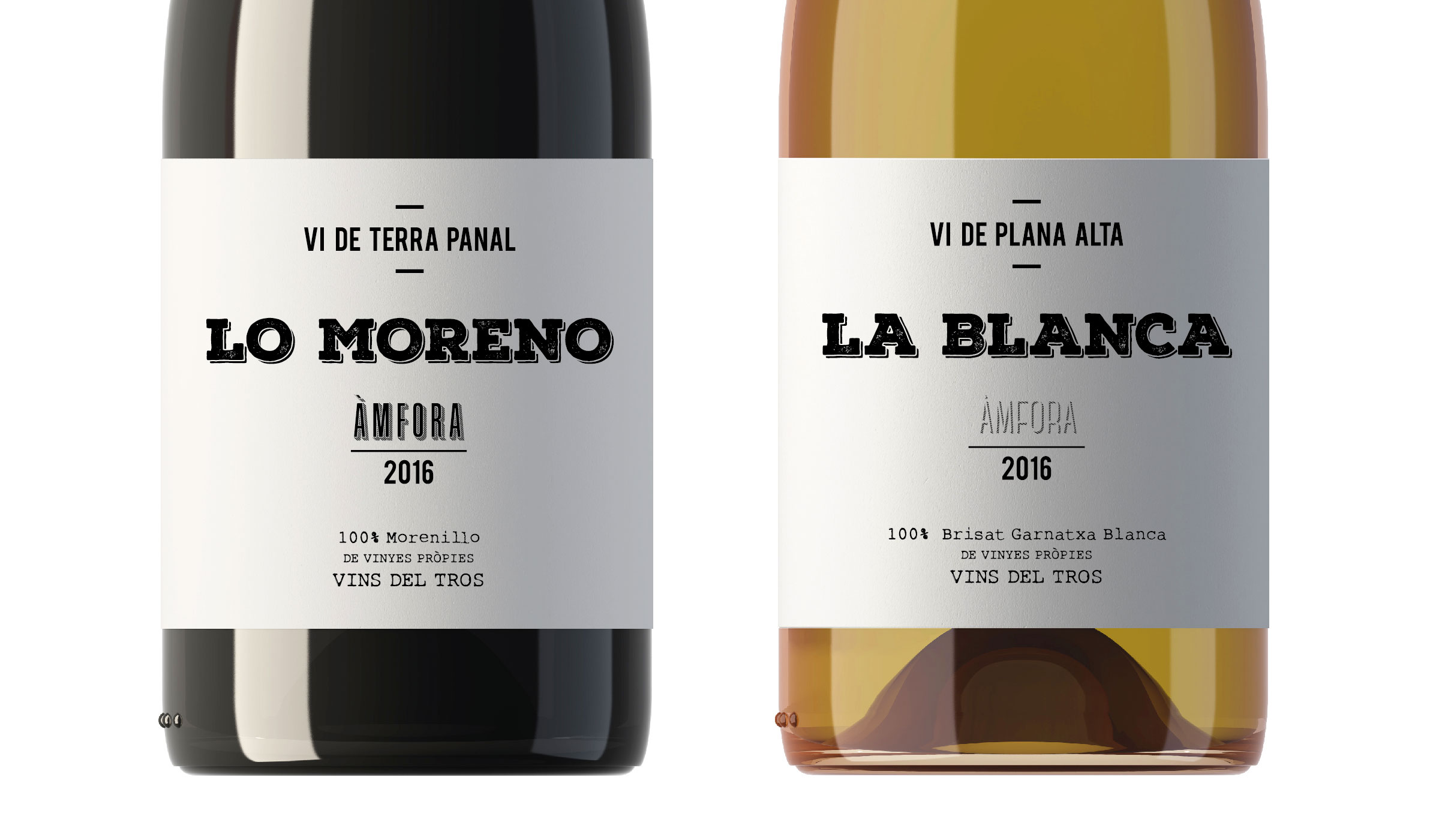 Vins del Tros — proyecto Vistudio