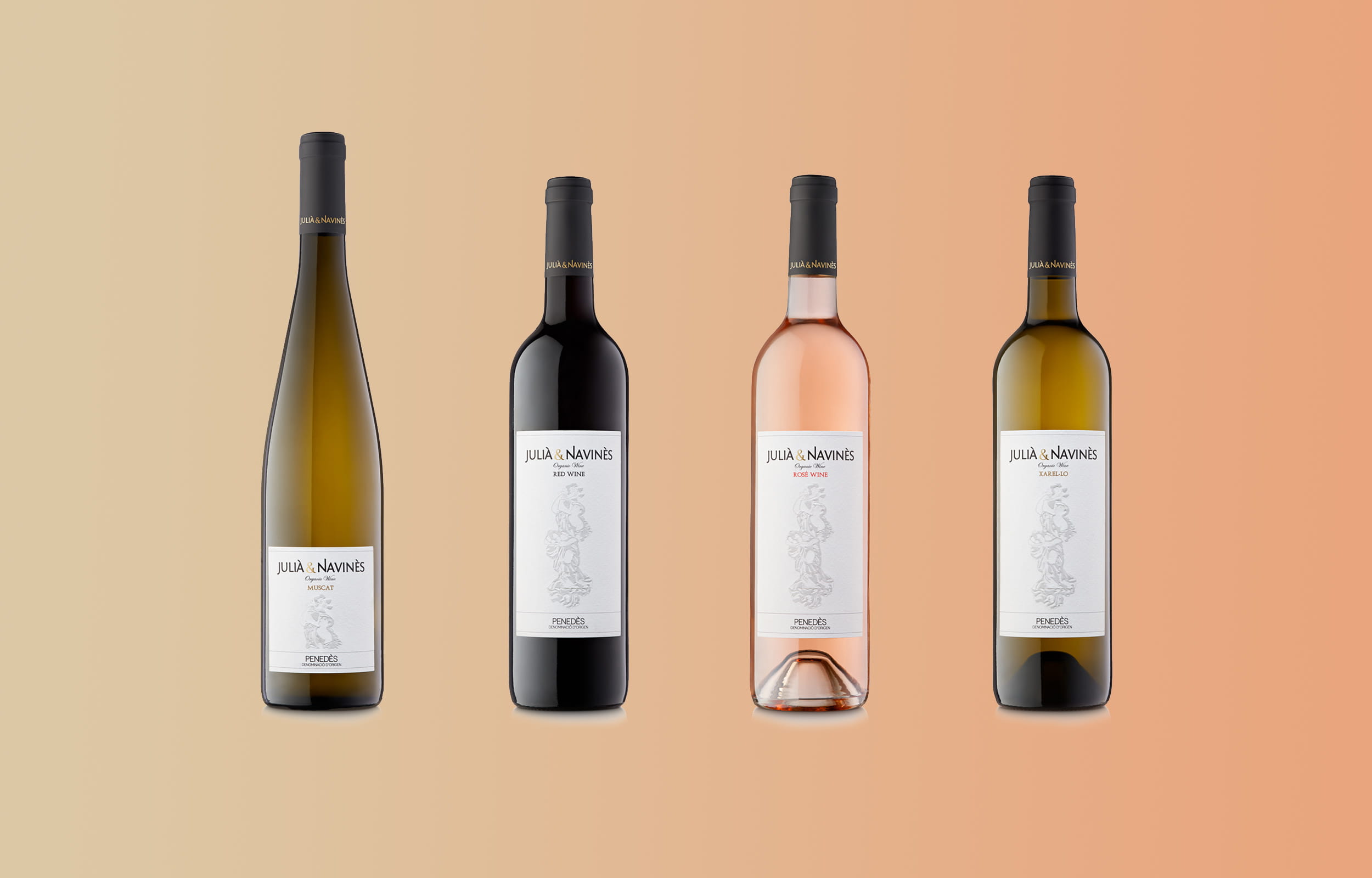 Fotografía de vinos