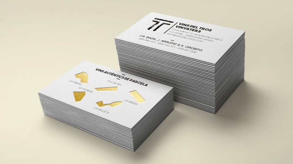 Pla de Pey — proyecto Vistudio
