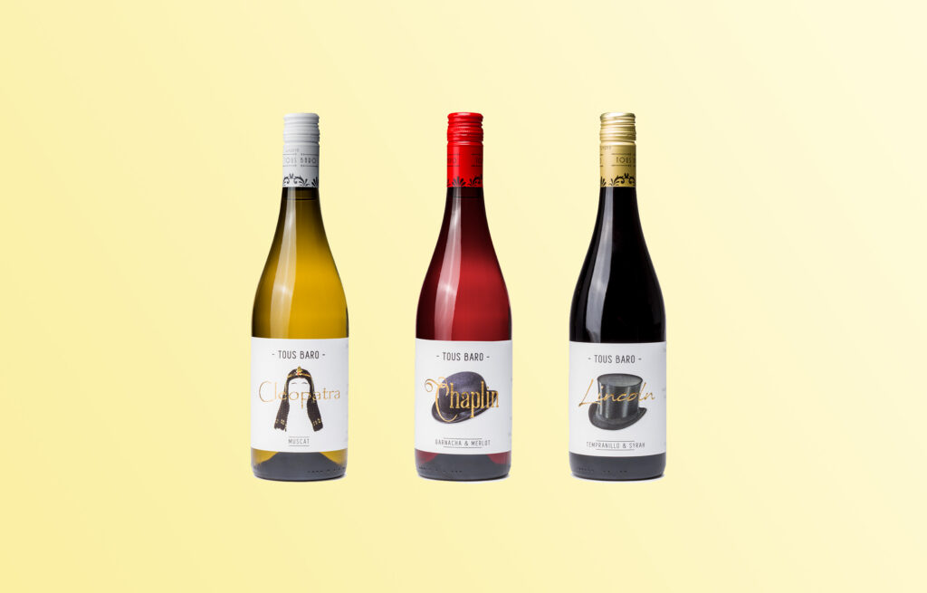 Tous Baró — proyecto Vistudio